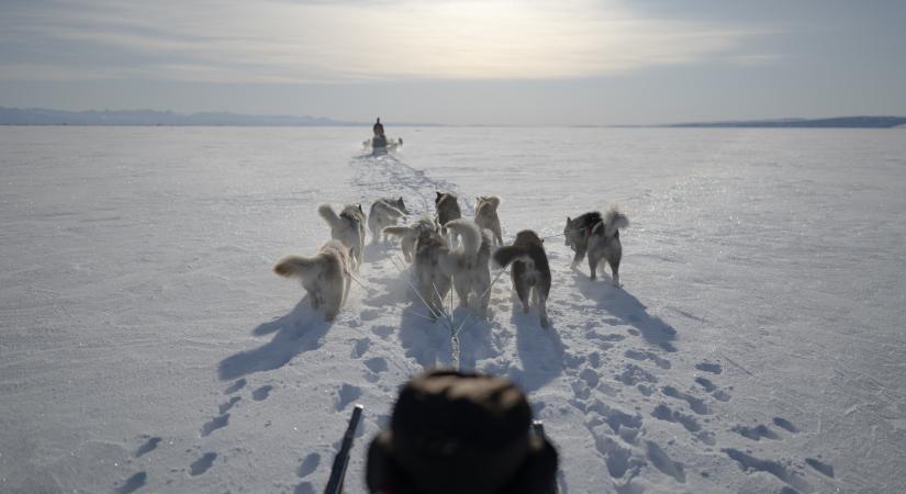 „Dánok akartunk lenni, nem eszkimók” – Trump nélkül is komoly gondokkal küzdenek a grönlandi őslakosok
