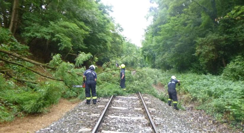 Elesett a MÁV Székesfehérvár-Budapest között a viharos szélben – részletek!