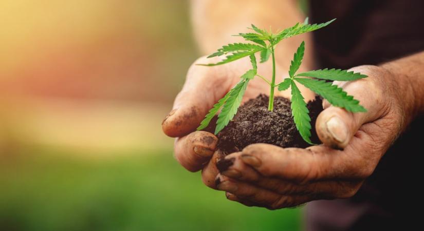 Édességnek álcázott drogszállítmány bukott le a budapesti repülőtéren – VIDEÓ