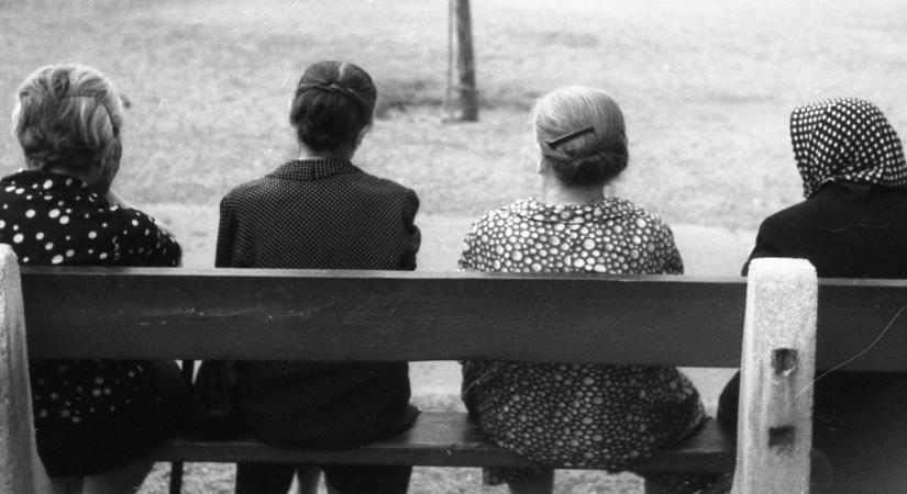 Kispadmozgalomba kezdenek a Bakonyban – Rögtönítélő bíróság? Jóízű pletyka? Közösségépítés! (videó)