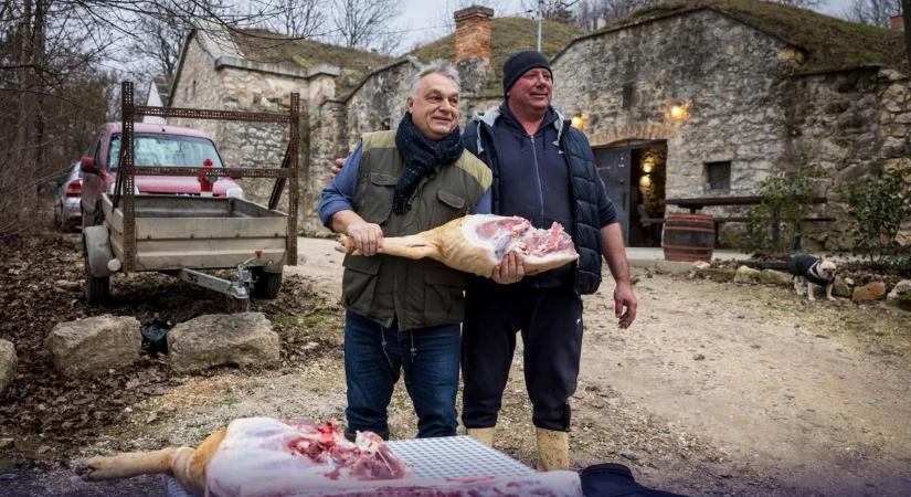 Malacunk van! – Orbán Viktor nem mindennapi videón látható