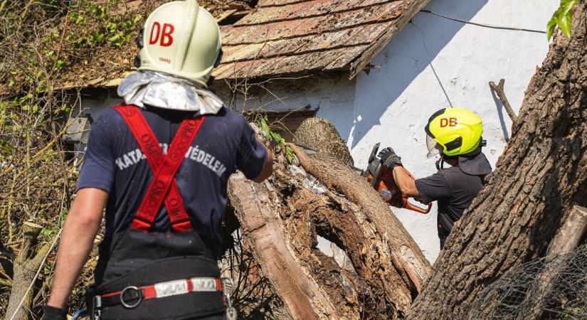 Bevetés a Balaton parton, nem sokat pihentek vasárnap a somogyi tűzoltók