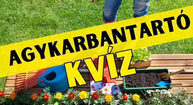 Napi agykarbantartó feladat: Milyen színű volt a lapát nyele? Csak a precíz megfigyelők tudják.