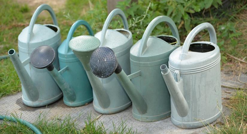 A leggyakoribb túlöntözési hibák tél végén – és a biztos megoldás