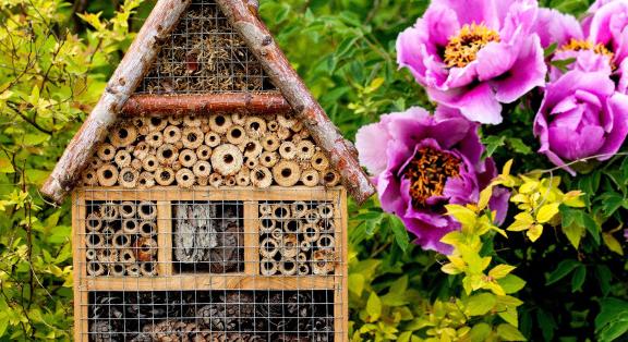 Rovarhoteleket a kertbe!