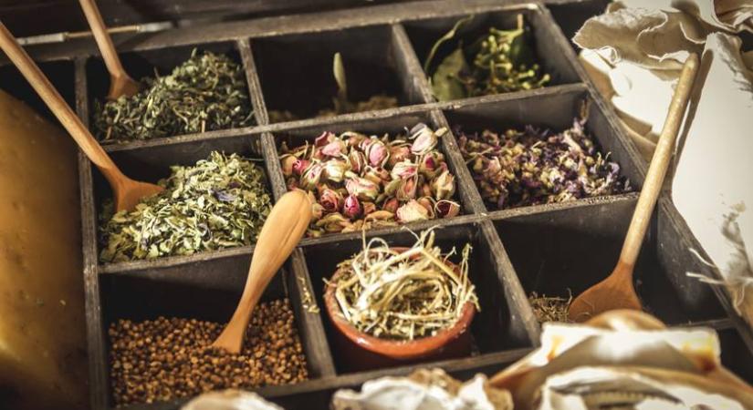 Rákot is gyógyítanak a világ legmérgezőbb növényei