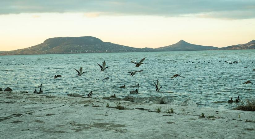 128 km/h szélsebességű orkán csapott le a Balatonra