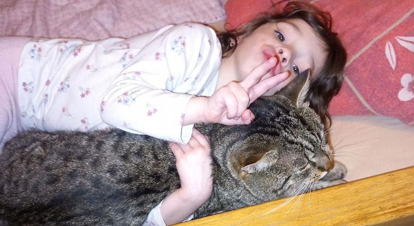 Olvasóink kiskedvencei – Ennyi imádnivaló kép még nem érkezett egyszerre