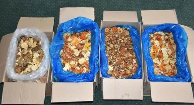 A lengyel határőrök őrizetbe vettek egy ukrán állampolgárt légyölő galócát tartalmazó dobozok szállítása miatt