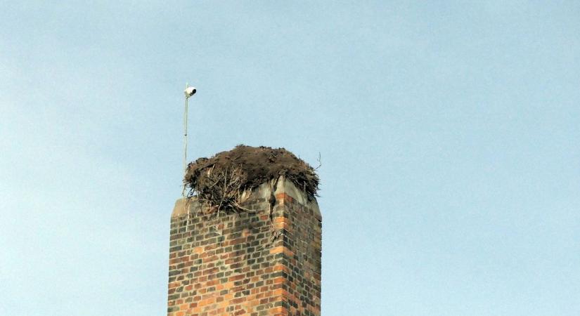 Komoly károkat okozott egy lezuhant gólyafészek Abonyban