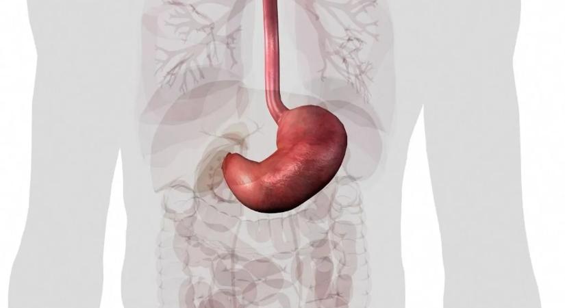 Túl sokat szellent? Mutatjuk, hogy mennyi az egészséges mennyiség