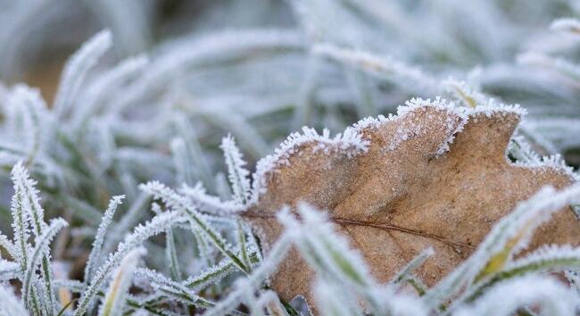 Bolondoznak a Julisok: havazás is várható hétfőn - Mutatjuk, hol