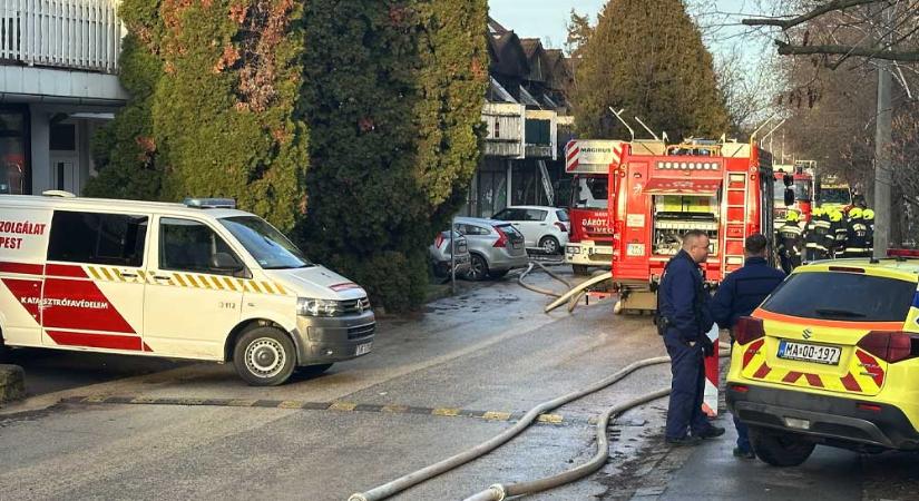 „Hatalmas durranásra és füstre ébredtem” – elképesztő hogyan sikerült Gábornak túlélnie a budakeszi tűzvészt