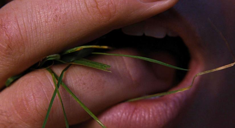 2026-os bevételi rekordot döntött az új sikerfilm a hétvégén, világszerte letarolta a mozikat!