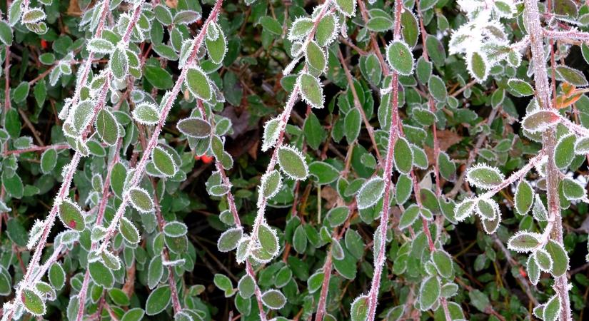 Hét eleji időjárás: Hajnali mínuszokra és vegyes csapadékra készülj!