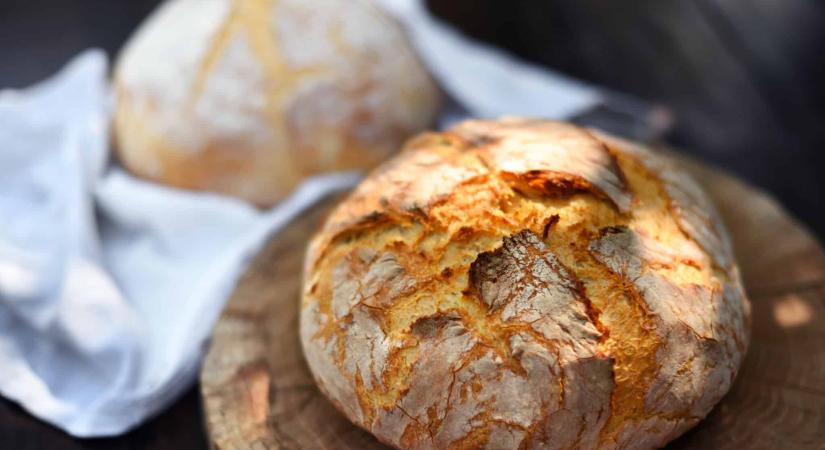 Teljes kiőrlésű kenyeret vásárolsz az egészségedért? A szakértők inkább ezt javasolják