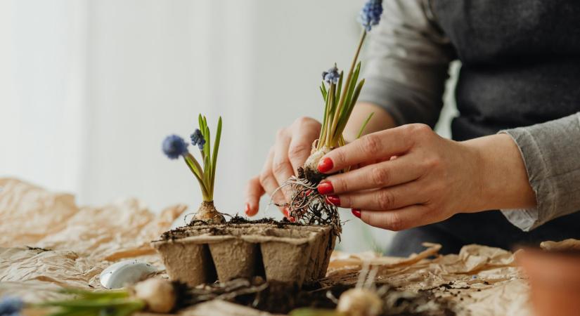 Ma, február 16.: Julianna és Lilla névnapját ünnepeljük– mit jelent a nevük?