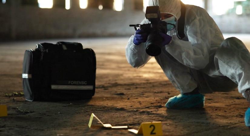 Váratlan fordulat – az eltűnt nagymama keresése közben egy másik nő holttestére bukkantak