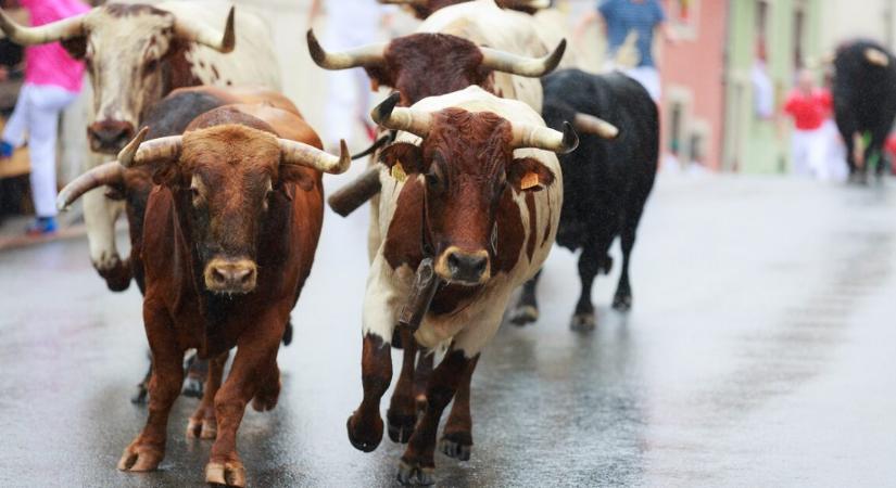 Döbbenetes módon vesztette életét egy 71 éves nyugdíjas