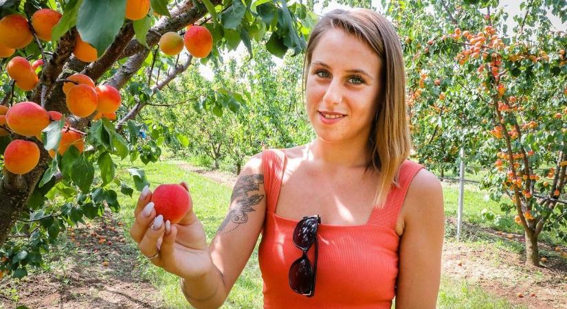 Nem a kutya, hanem a szomszéd fáját – mutatjuk, mit mond az új szabályozás