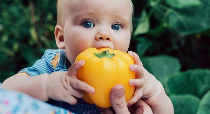 Ezért számít, mit eszik a baba: az agyi fejlődés, és ami mögötte van