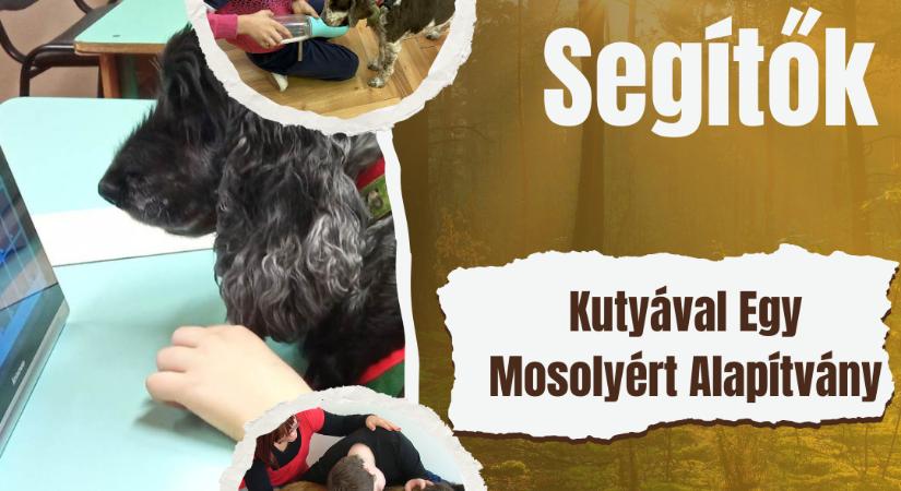 Amikor a kutya nem vendég, hanem fejlesztőtárs: interjú