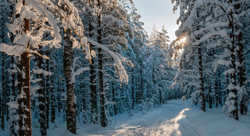 Érkezik a havazás, az ország egyes részein a táj is kifehéredik
