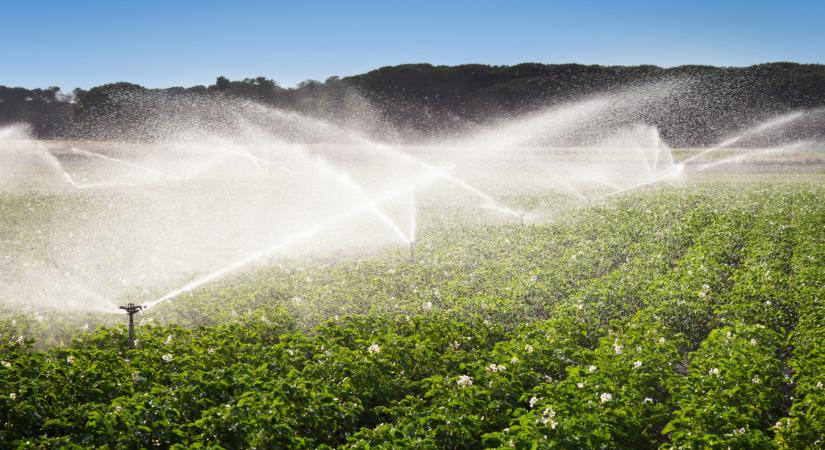 Ezt sok ingatlantulajdonosnak kötelező megtenni: a legtöbben nem is tudják