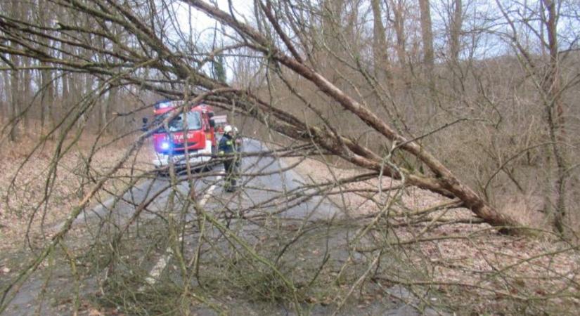 Így pusztított a ciklon: fák dőltek ki, vonatok álltak le