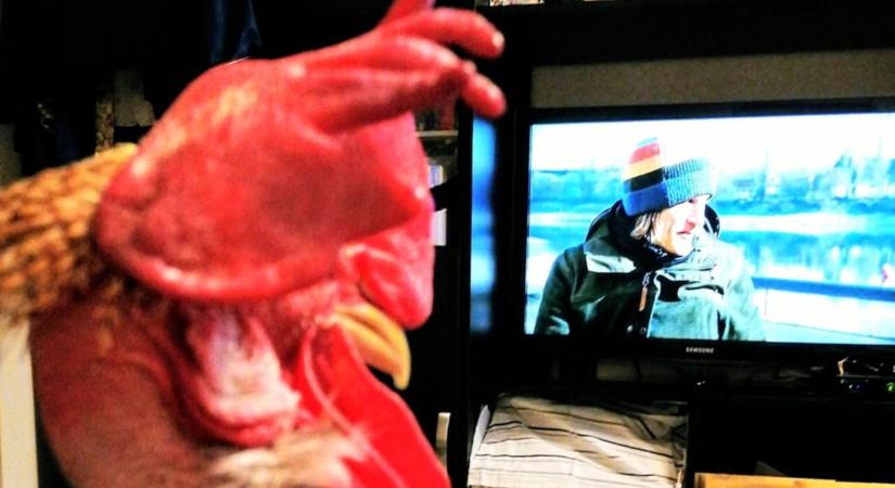 Világszenzáció Szegeden? - kimondta a nevét a frontérzékeny Gáspár Pipi