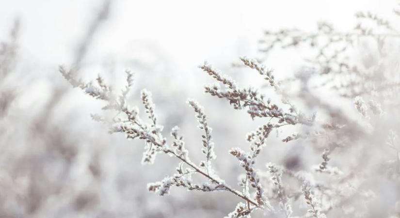 Havas idővel veszi kezdetét a hét