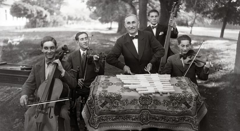 Tigris miatt vesztette el szeme világát, Somogyszilig meg se állt