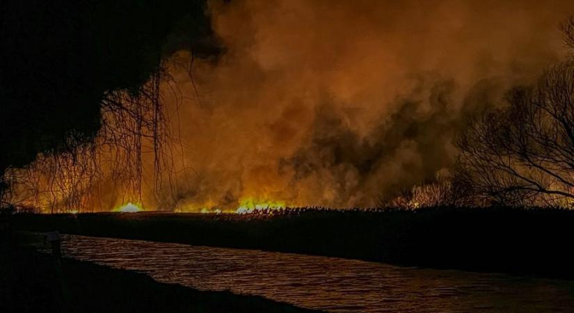 Nagy területen égett a berek Fonyódon