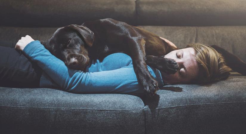 Ugat, fut, nyüszít álmában? 5 meglepő tény arról, mit álmodnak a kutyák a tudomány szerint