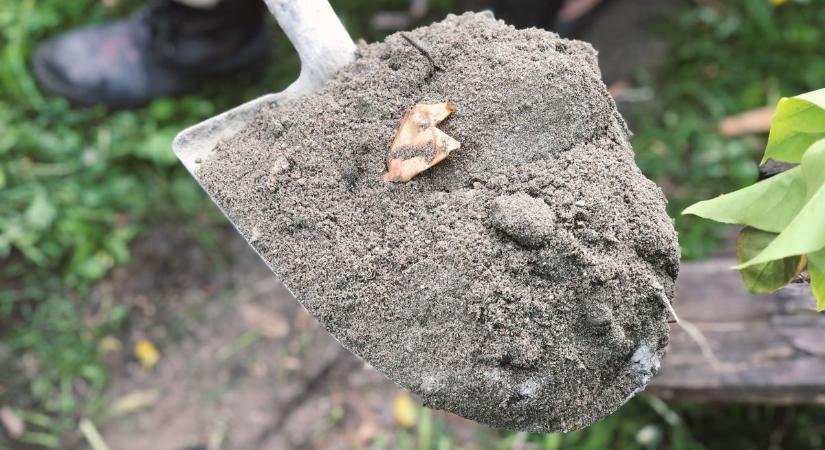 Komoly balhé egy Körmend melletti faluban: lapáttal verte arcon haragosát a vasi nő