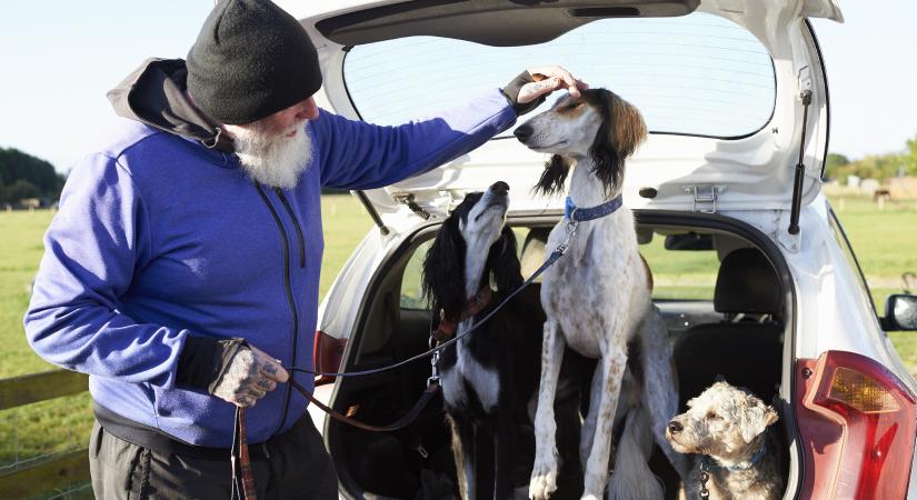 Ez a kutyafajta él a legrövidebb ideig