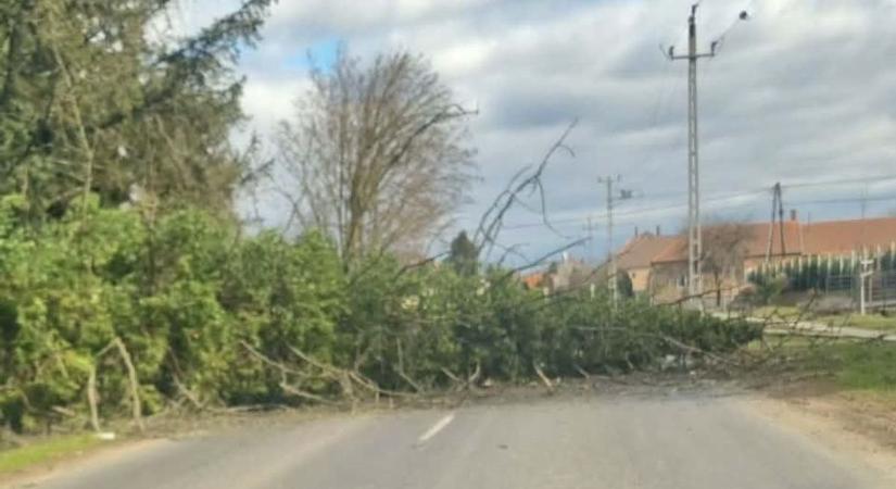 Fákat csavart ki, tetőket bontott meg a viharos szél Vasban