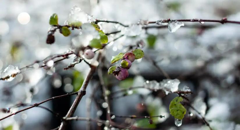 Visszatér a tél: ónos eső, havas eső és havazás is jön a héten
