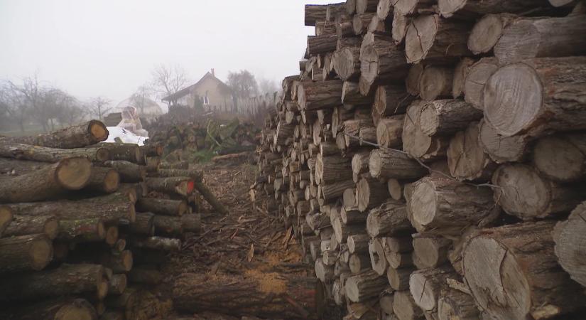 Ingyen tűzifa, rejtett költségek – meglepődött a polgármester