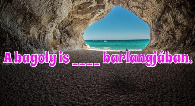 Napi közmondás feladat: „A bagoly is … barlangjában” – Tudod a végét?