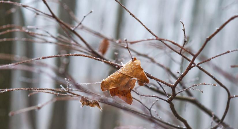 Elképesztő fagy söpörte ki az országból a tavaszt – és ez még csak a kezdet: jön a havazás