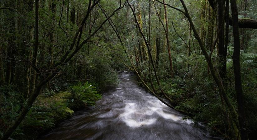 Sötét fordulatot vett az eltűnt belga turista utáni nyomozás, hátborzongató dolgokat találtak