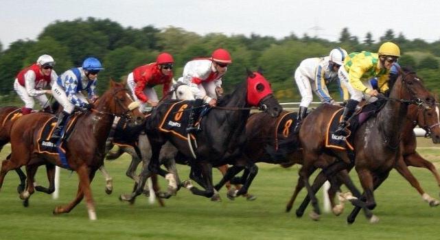 SZUBJEKTÍV – Kínában a ló, nálunk a választás éve