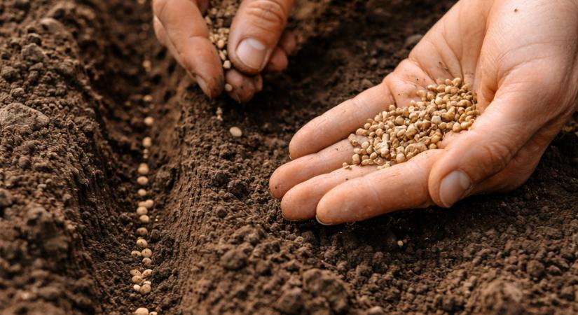 Hetedszer is Egerben rendezik meg a Bátri Magbörzét – nemzetközi vendégekkel és közösségi fókuszszal