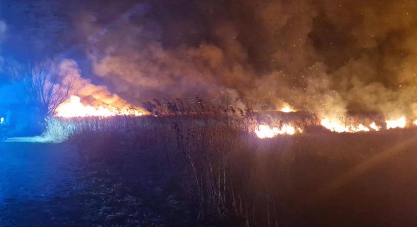 Videó: Lángolt a Balaton déli partja, a túlpartról is látszott a tűz