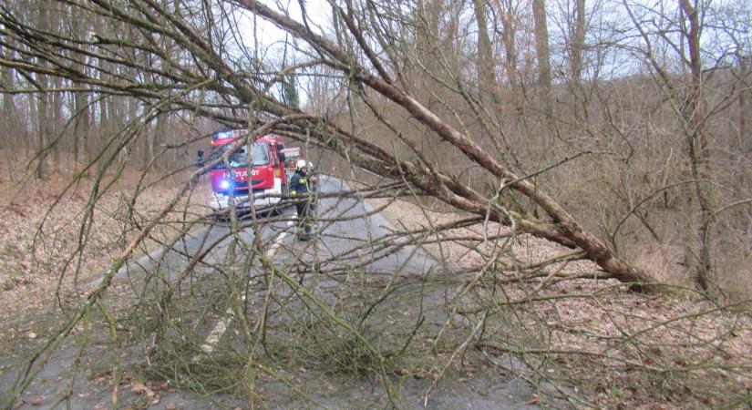 Vihar csapott le Fejérre: vonatok akadtak el, fák dőltek az utakra