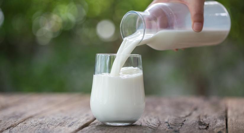 Súlyos a tejválság Magyarországon is: ez vár mostantól a vásárlókra