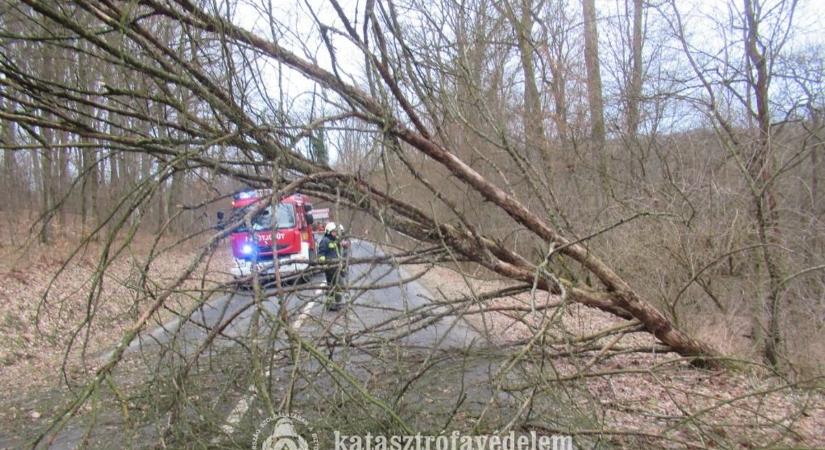 Így kezdődhet a végítélet: viharos szél tombolt Zalában, vármegyeszerte hatalmasan a károk