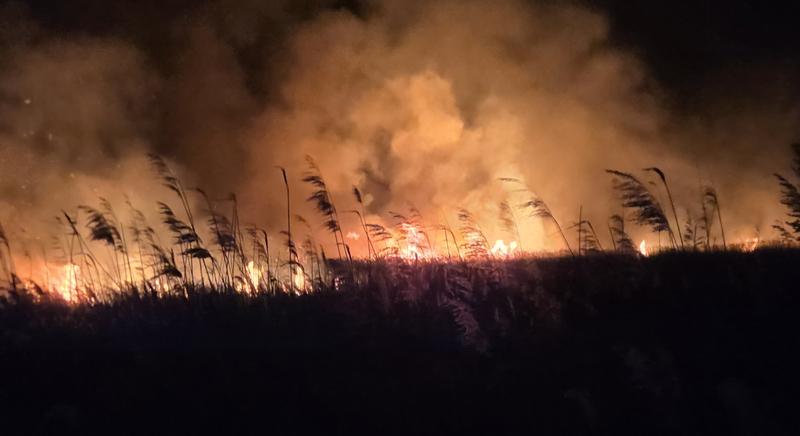 Tűz pusztított a fonyódi berekben