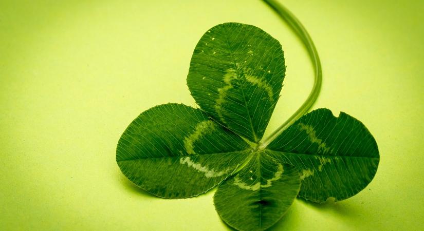 Akinek ezen a listán rajta van a szerencseszáma, extra szerencsét kap ezen a héten